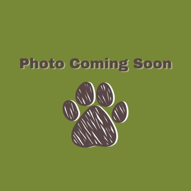 Team Member Photo Coming Soon